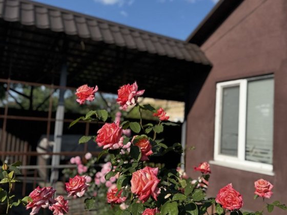 Здам в оренду дуплекс з ремонтом, басейном та ділянкою 5 соток Ирпень