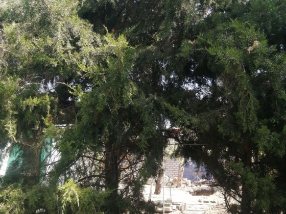 Сдам часть дома, гараж . Центр Херсон