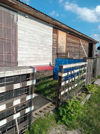 будинок без ремонту на 3 квартири окремі розділений по30 м2! Київ Здам - фото 1