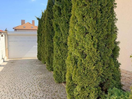 Аренда одноэтажного дома в Совиньоне Одеса