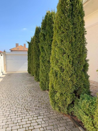 Аренда одноэтажного дома в Совиньоне - фото 1