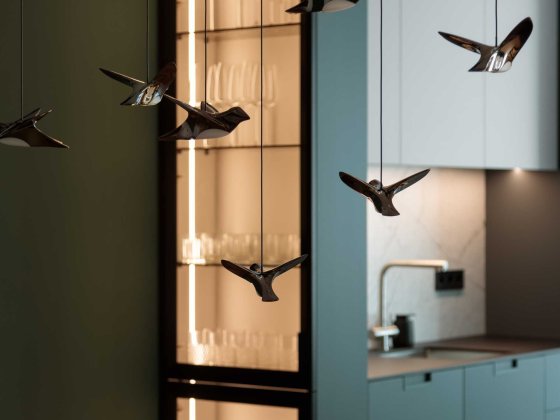 Оренда Будинку (таунхаус), Золоче, ВЛАСНИК, Перша сдача  (аренда дома) Вишенки