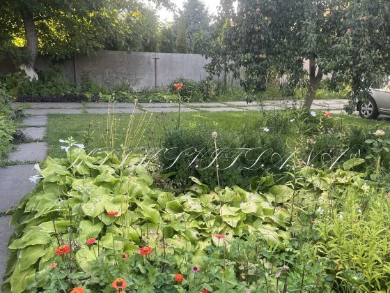 Здам дім с.Вишеньки Гнідин о. Золоче, метро Бориспільська 15км Гора Вишенки