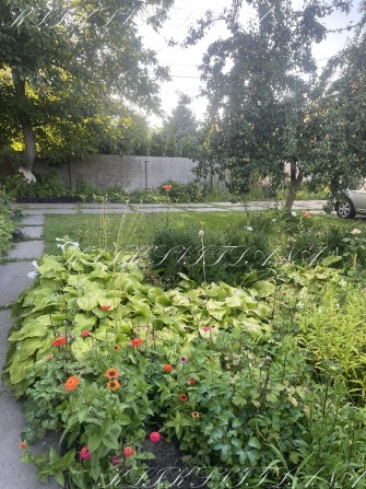 Здам дім с.Вишеньки Гнідин о. Золоче, метро Бориспільська 15км Гора - фото 1