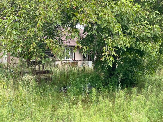 Оренда з правом викупу Немешаево