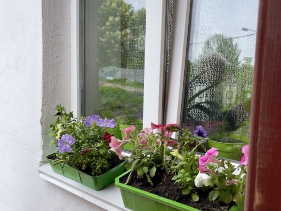 Продається однокімнатна квартира, вул. Житомирська Бердичів