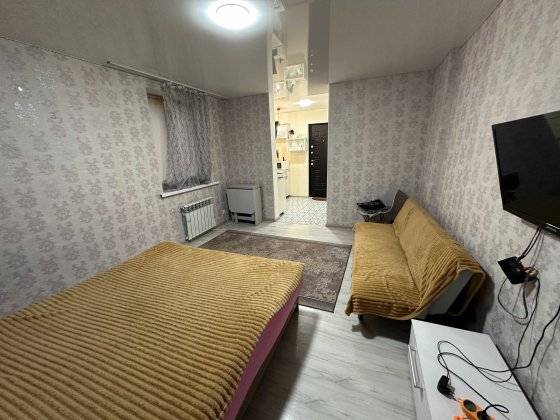 Однокімнатна квартира в центрі міста. Опалення електричне. Александрия