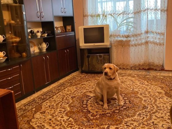 Продаж трикімнатної квартири, 3-й мікрорайон, вул. Кутвицького Вознесенск