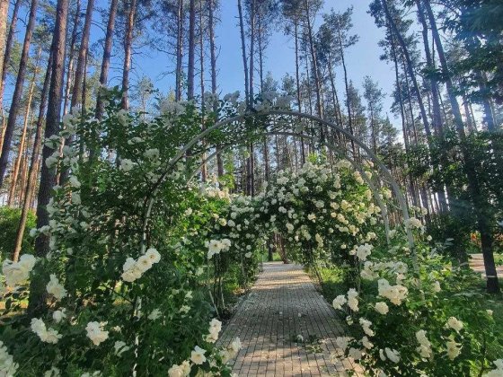 2-кімнатна з виходом у парк — ЖК «SOBORNYI». Розтермінування без %! Гостомель