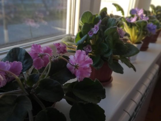 Продам срочно!!! 2-х комнатная Дружківка