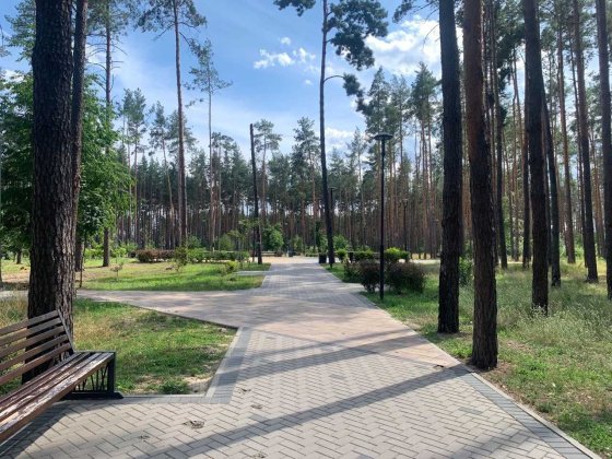 Комфортна 2-кімнатна з краєвидом на ліс — 15 хв до Києва Гостомель