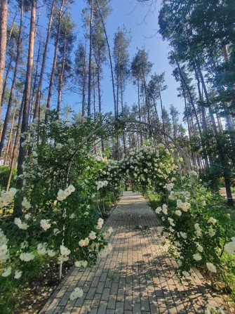 2-кім біля парку — 7 км до Києва, розтермінування без%. ЖК "SOBORNYI" - фото 1