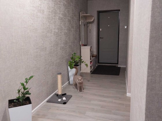 Продаж 3 км квартири з ремонтом Нетішин