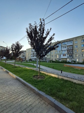 Продаж 2-кімнатної квартири - фото 1