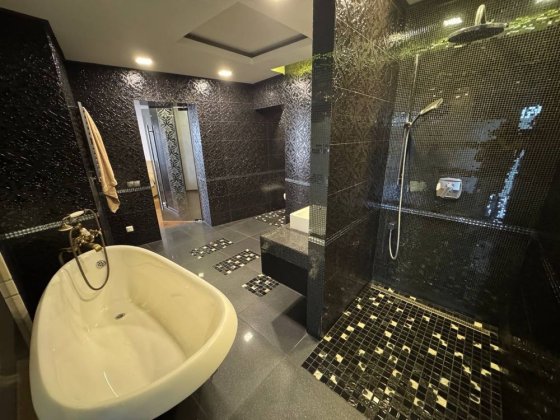 Дворівнева квартира 230 кв.м. Одна на поверху.Панорама парку Софівка.