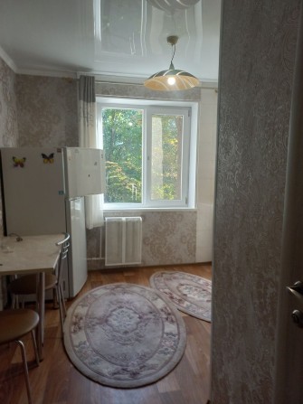 Квартира 1 кімнатна 18000₴ (Карачуни) - фото 1