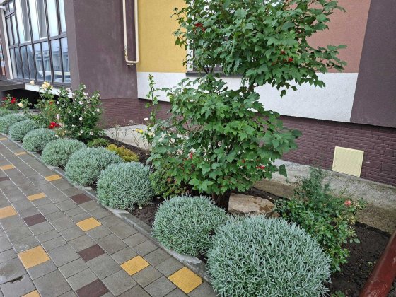 продаж 2кім. з ремонтом .індивілуальним опаленням  та меблями Тернопіль