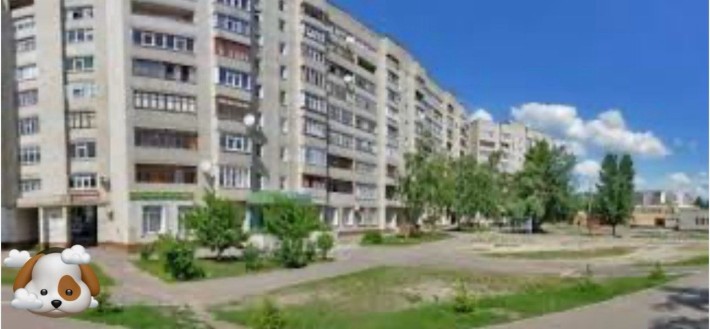 1-кімнатна Цегляний Будинок Просп. Лушпи - фото 1