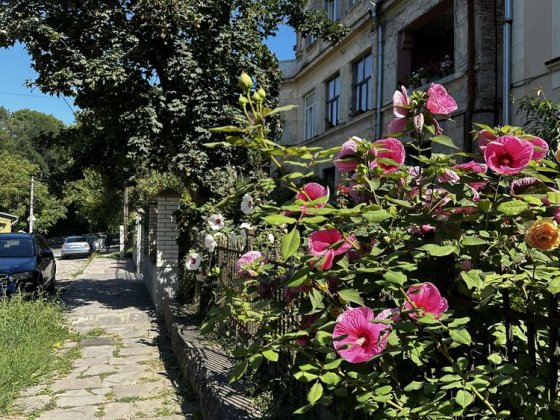 Продам квартиру в центрі початок вул.Пирогова Черновцы