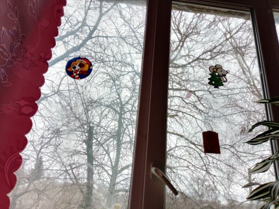 Продам комнату в общежитии Конотоп