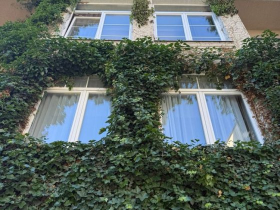 Здаєтьс в оренду 2-ох кімнатна квартира м.Ужгород вул.Підгірна центр Ужгород