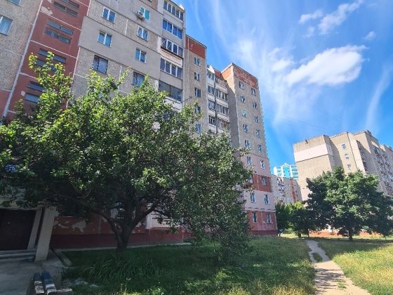 Масани, 1но кім квартира Чернигов