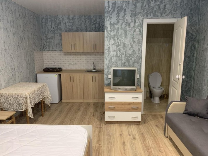 Оренда,  однокомнатная квартира частный сектор Крыжановка! - фото 1