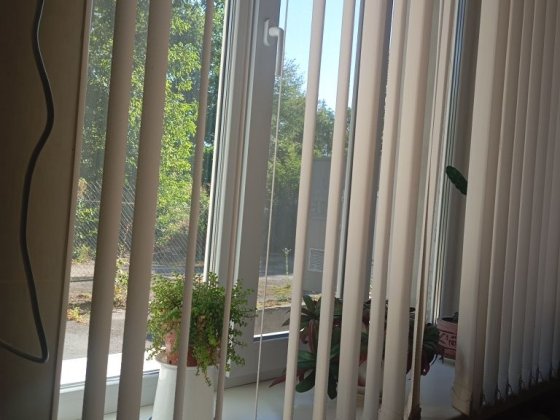 Візьму на квартиру жінку або студентку старших курсів Чернівці