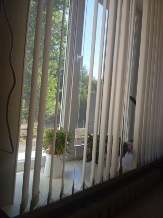 Візьму на квартиру жінку або студентку старших курсів - фото 1