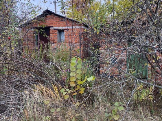 Сдам в оренду(безкоштовно)Дачу в Березанке СТ «Сновʼянка» Чернигов