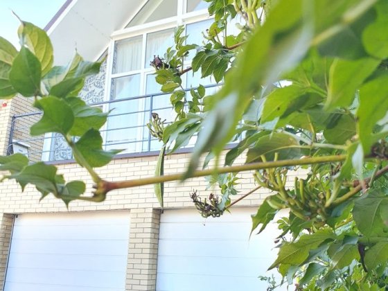 Сдам дом, пр. Науки, есть генератор, бомбоубежище ТЦ Дафи рядом. Дніпро