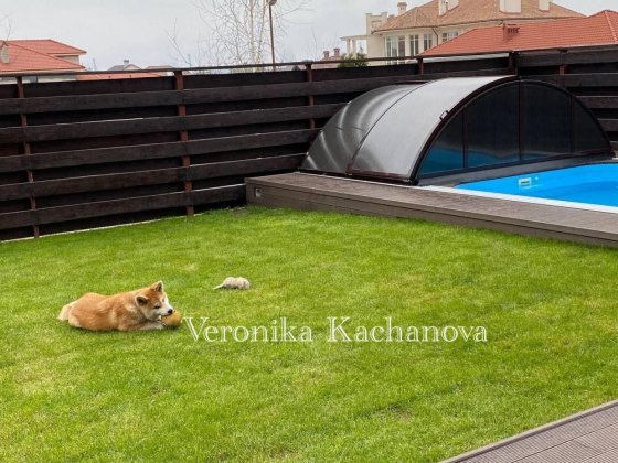 Эксклюзивный Дом в Совиньоне Одеса