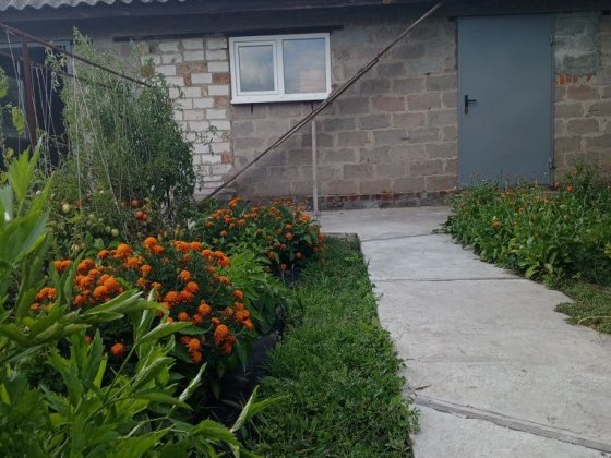 Продаж Будинок,заїхати і Насолоджуватися Життям Бобровица