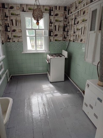 Продам дом с.Соколовка Днепропетровская обл. - фото 1