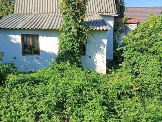 Продам Дачу.за великим Ринком! Васильков