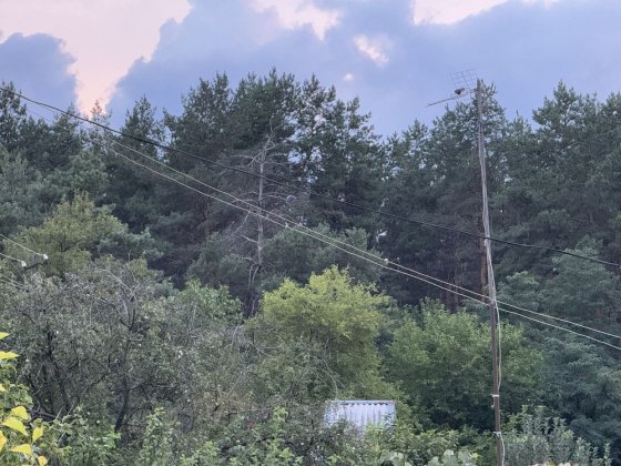 Дача ,Лес с Двух сторон Каменское ,левый берег 1 км. Кам'янське