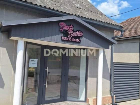 Продається житловий будинок з комерційними приміщеннями в м.Виноградів Виноградов