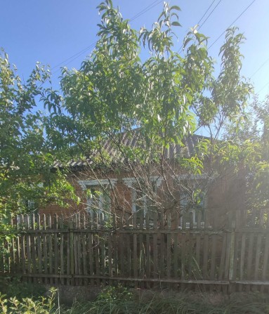 Продаётся два дома в одном дворе 7000 € / Недвижимость - фото 1