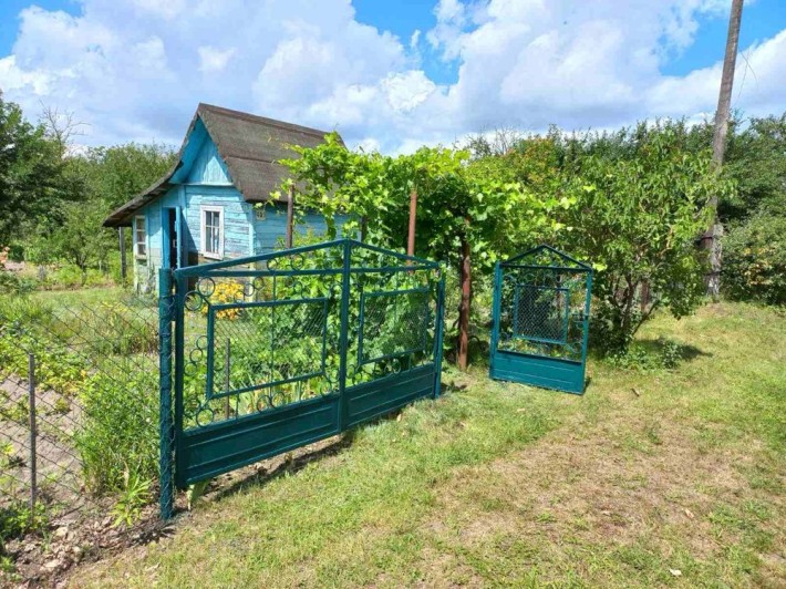 Дача, дачна ділянка - фото 1