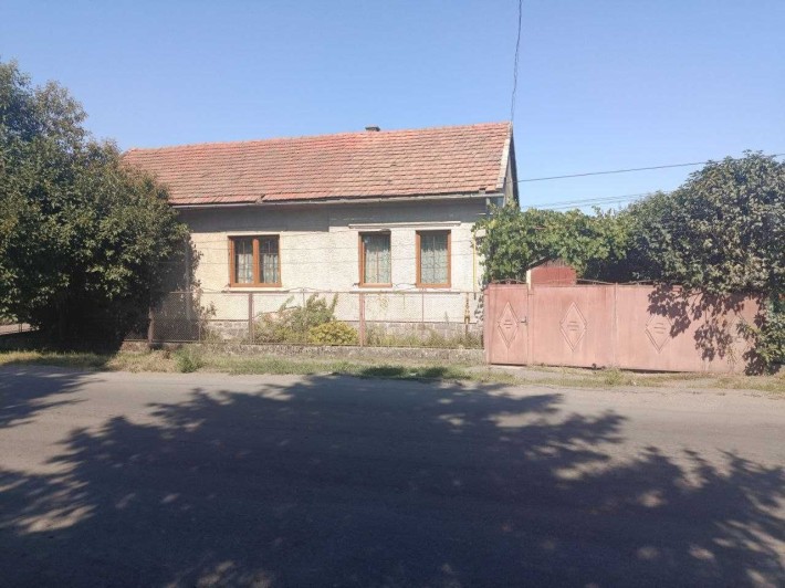 Продаж будинку в м. Мукачево, р-н Паланок. - фото 1