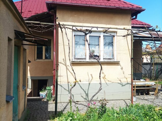 Продаж будинку Підгоряно. Мукачево