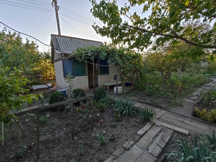 Дача , дачна ділянка з будинком - фото 1