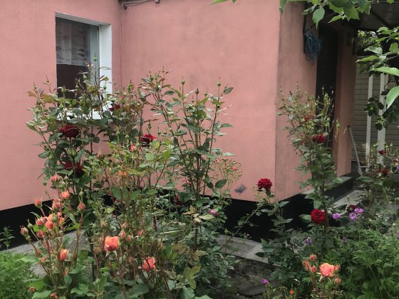 Продаю дом в центре (горветка) Павлоград