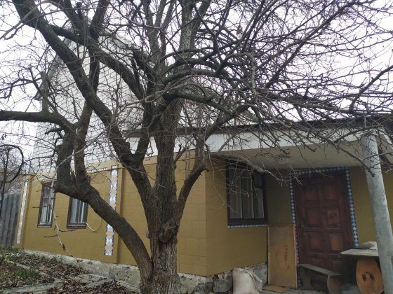 Продам два будинки на одній ділянці Сміла