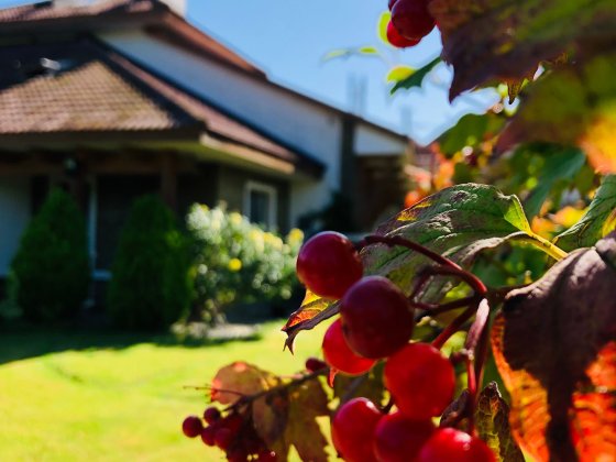 Будинок в Трускавці від Власника Трускавец