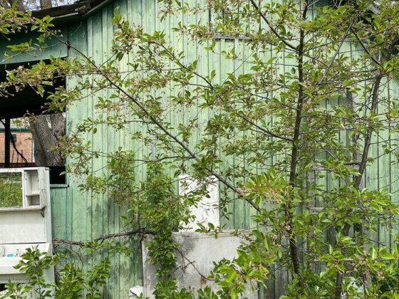 Продається дача в дачному кооперативі Умань