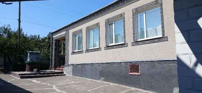 Будинок с.Дмитрушки - фото 1