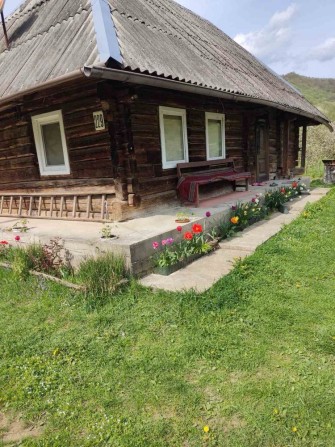 Продам хату та земельну ділянку в сЗапереділля Міжгірського району. - фото 1