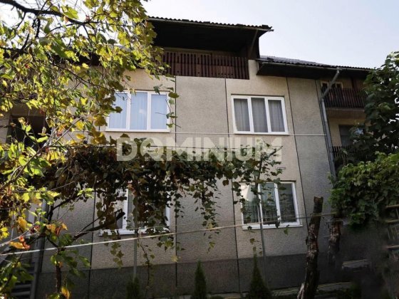 Продається будинок у центрі м. Хуст з діючим бізнесом Хуст