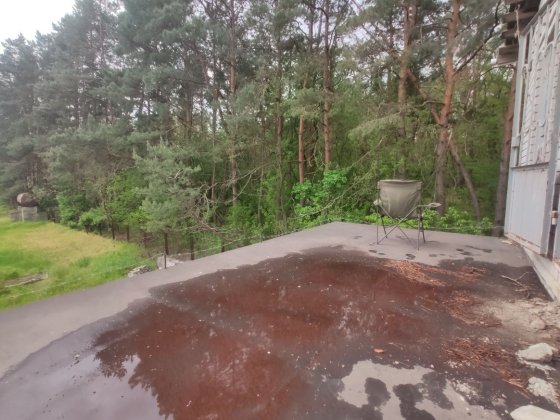 Дача возле соснового леса Обухівка